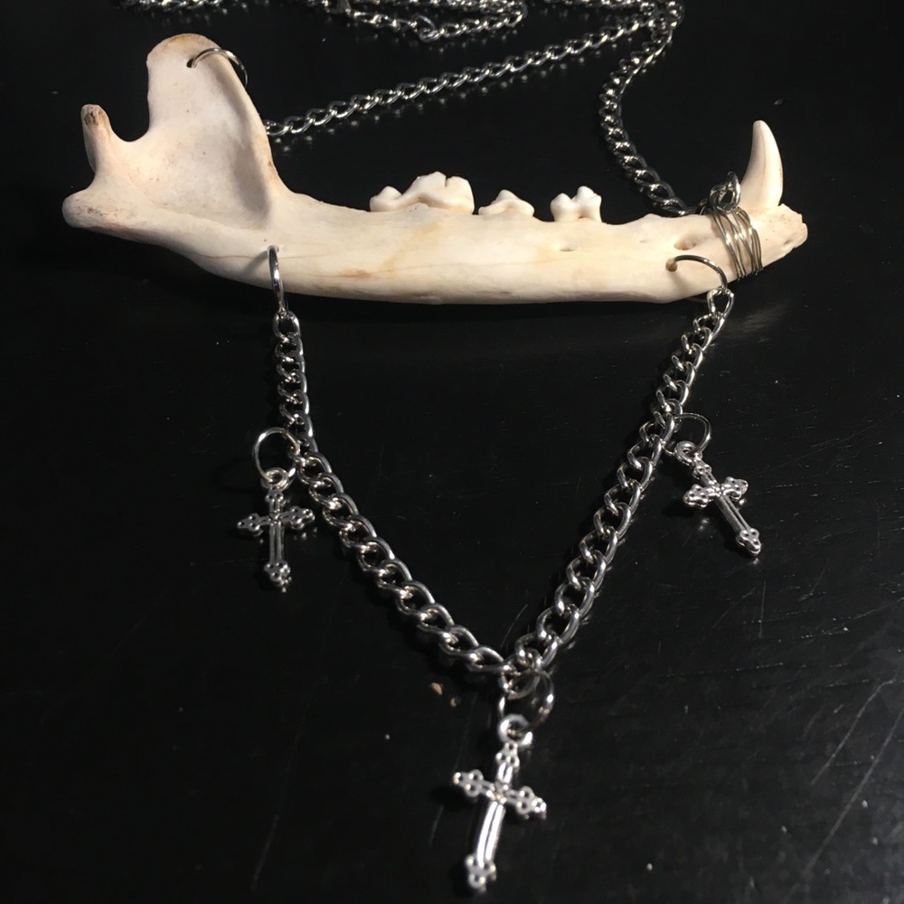 SOLD - COYOTE JAW BONE NECKLACE - ETHICALLY SOURCED! - Picture 5 of 7